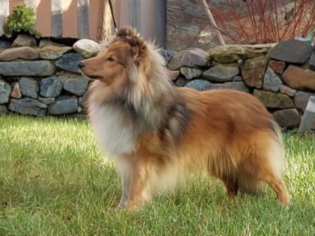 Follow Your Nose Suits You